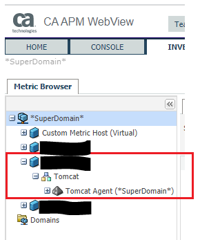 How do I remove an agent server from the APM UIs WebView