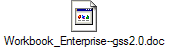 Workbook_Enterprise--gss2.0.doc